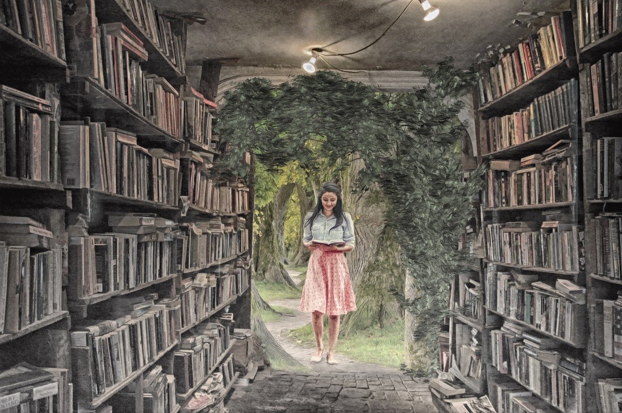 library-3992076_1280